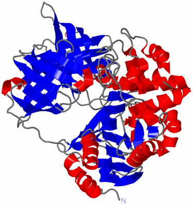 Image Asymmetric Unit