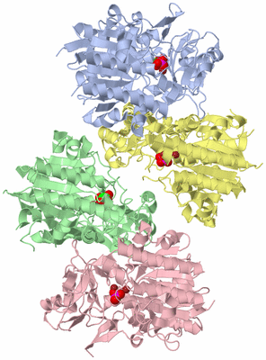 Image Asymmetric Unit