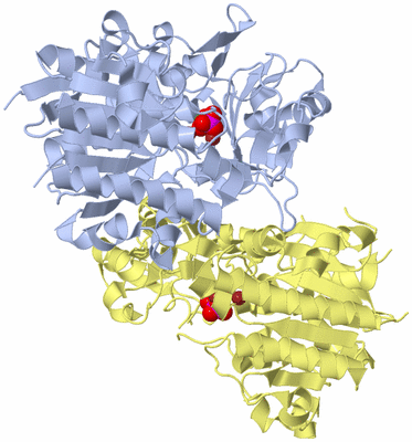 Image Biological Unit 1