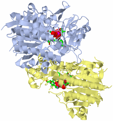 Image Biol. Unit 1 - sites