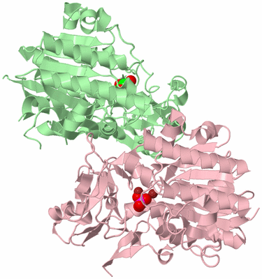 Image Biological Unit 2
