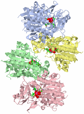 Image Asym. Unit - sites