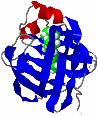 Image NMR Structure - model 1