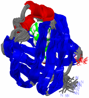 Image NMR Structure - all models