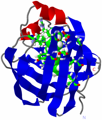 Image NMR Structure - model 1, sites