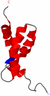 Image NMR Structure - model 1