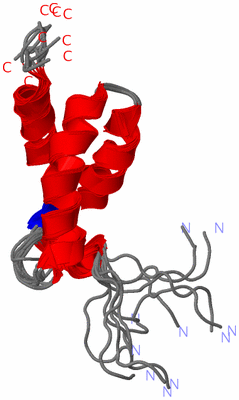 Image NMR Structure - all models