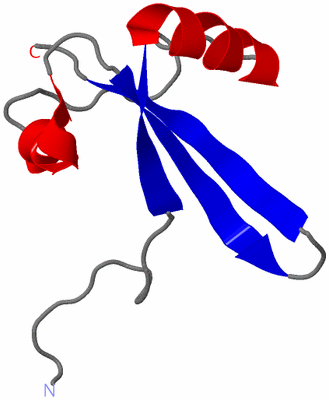 Image NMR Structure - model 1