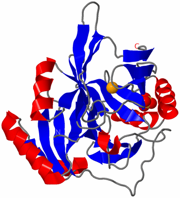 Image Asymmetric Unit