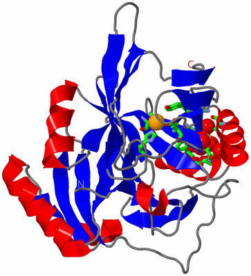 Image Asym. Unit - sites