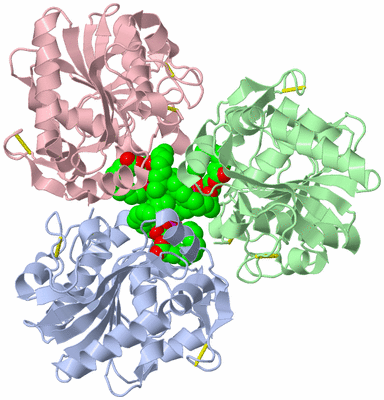 Image Asymmetric Unit
