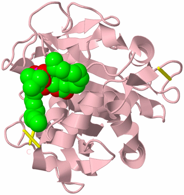 Image Biological Unit 3