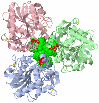 Image Asym. Unit - sites