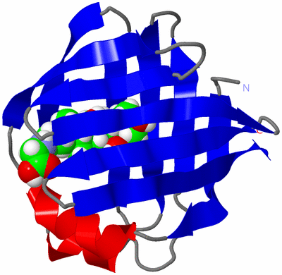 Image NMR Structure - model 1