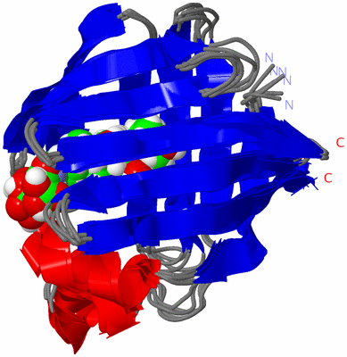 Image NMR Structure - all models