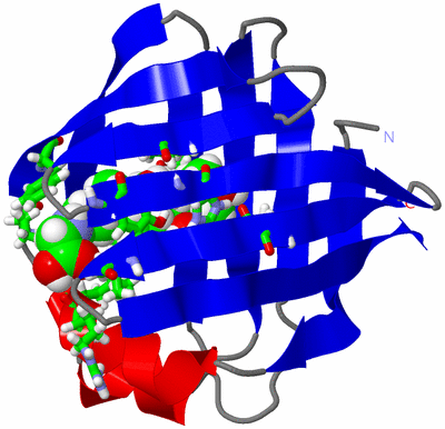 Image NMR Structure - model 1, sites