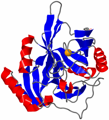 Image Asymmetric Unit