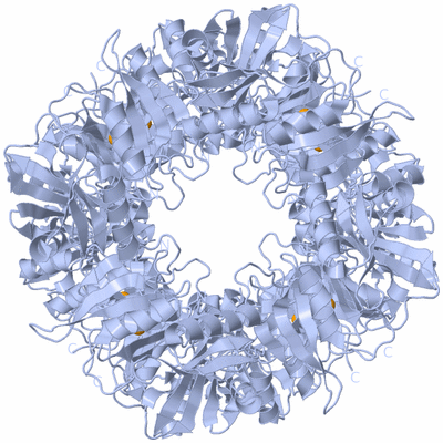 Image Biological Unit 1