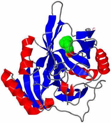 Image Asymmetric Unit