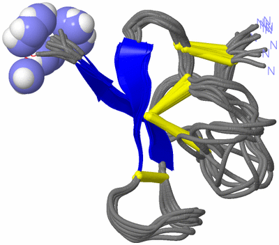 Image NMR Structure - all models