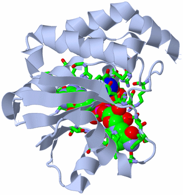 Image Biol. Unit 1 - sites