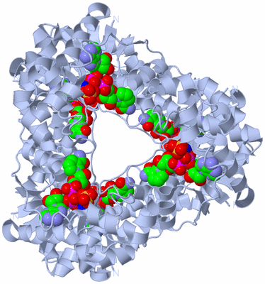 Image Biological Unit 2