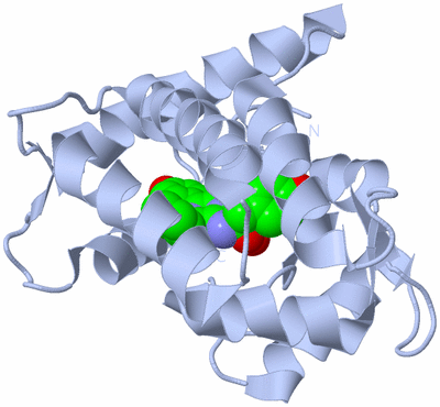 Image Biological Unit 1