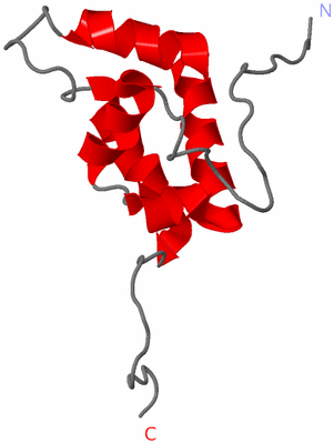 Image NMR Structure - model 1