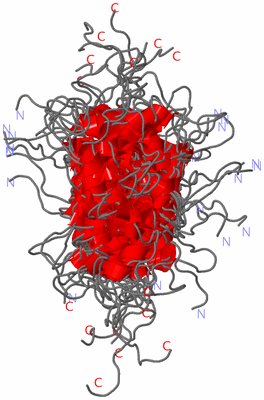 Image NMR Structure - all models