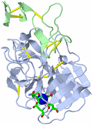 Image Asym./Biol. Unit - sites