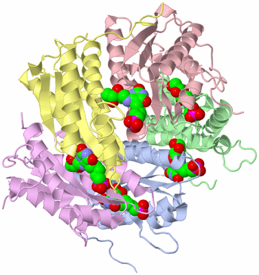 Image Asym./Biol. Unit