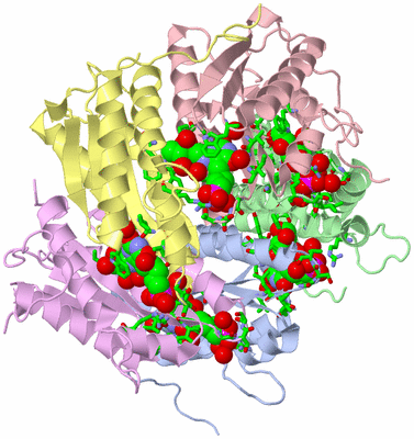 Image Asym./Biol. Unit - sites