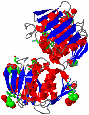 Image Asym./Biol. Unit - sites