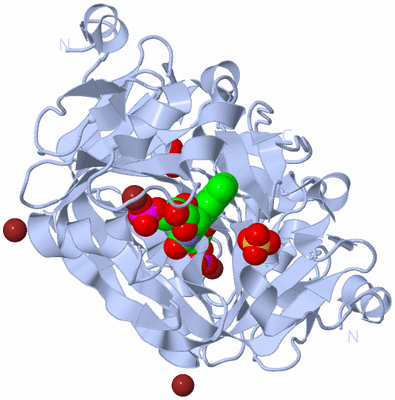 Image Biological Unit 1