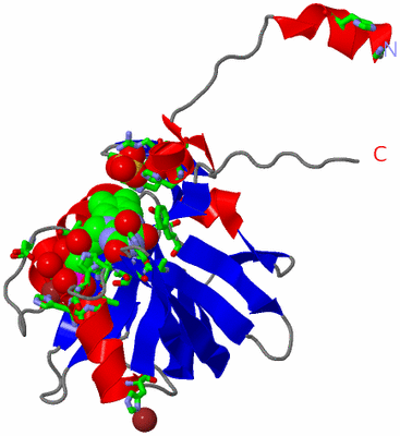 Image Asym. Unit - sites