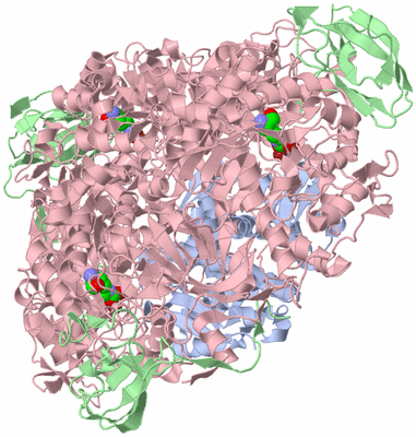 Image Biological Unit 1