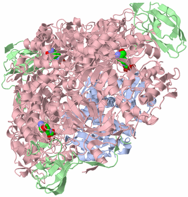 Image Biological Unit 1