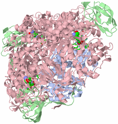 Image Biol. Unit 1 - sites