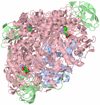 Image Biological Unit 1