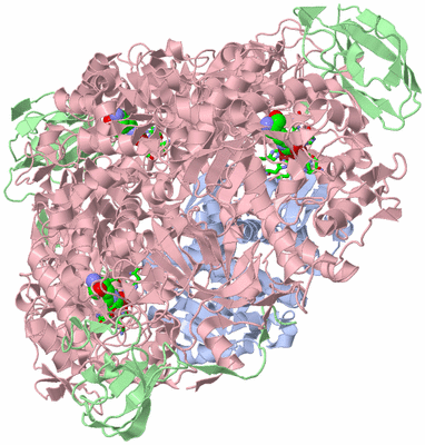 Image Biol. Unit 1 - sites