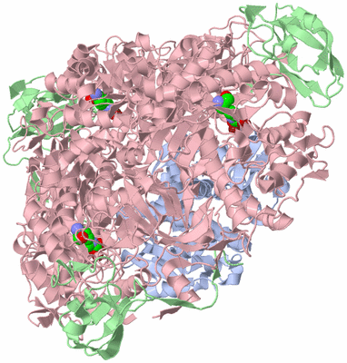 Image Biological Unit 1