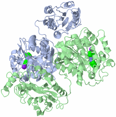 Image Asym./Biol. Unit