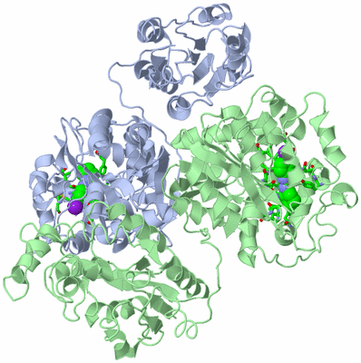 Image Asym./Biol. Unit - sites