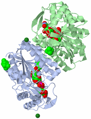 Image Asym./Biol. Unit