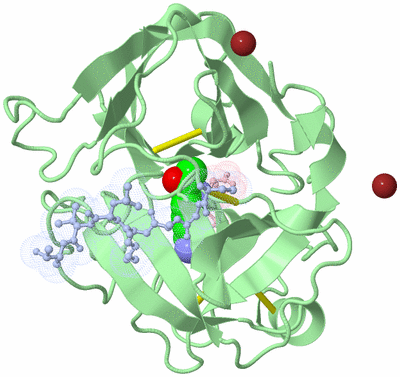 Image Asym./Biol. Unit