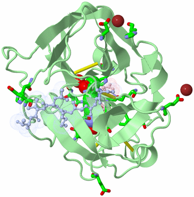 Image Asym./Biol. Unit - sites