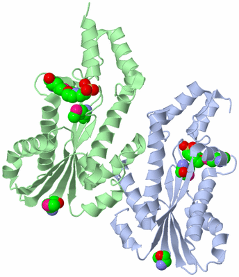 Image Asym./Biol. Unit