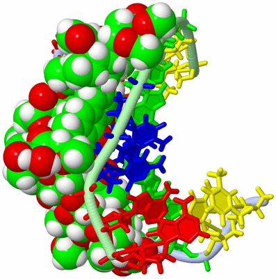 Image NMR Structure - model 1