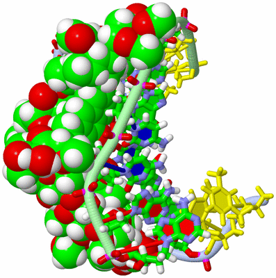 Image NMR Structure - model 1, sites