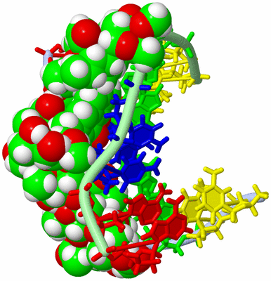 Image NMR Structure - model 1